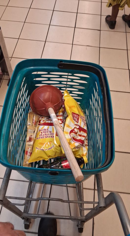 Professional service standards